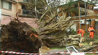 Violenta tempesta si abbatte sull'Australia