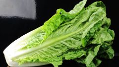 Romaine lettuce on a black background (Lactuca sativa L. var. longifolia)