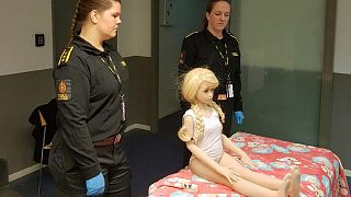 Image: Norwegian customs officials confiscate a sex doll