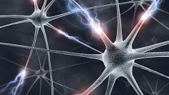 Neural network, artwork