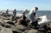 آلودگی بر اثر نشت سوخت کشتی غرق شده روس در جزایر قناری