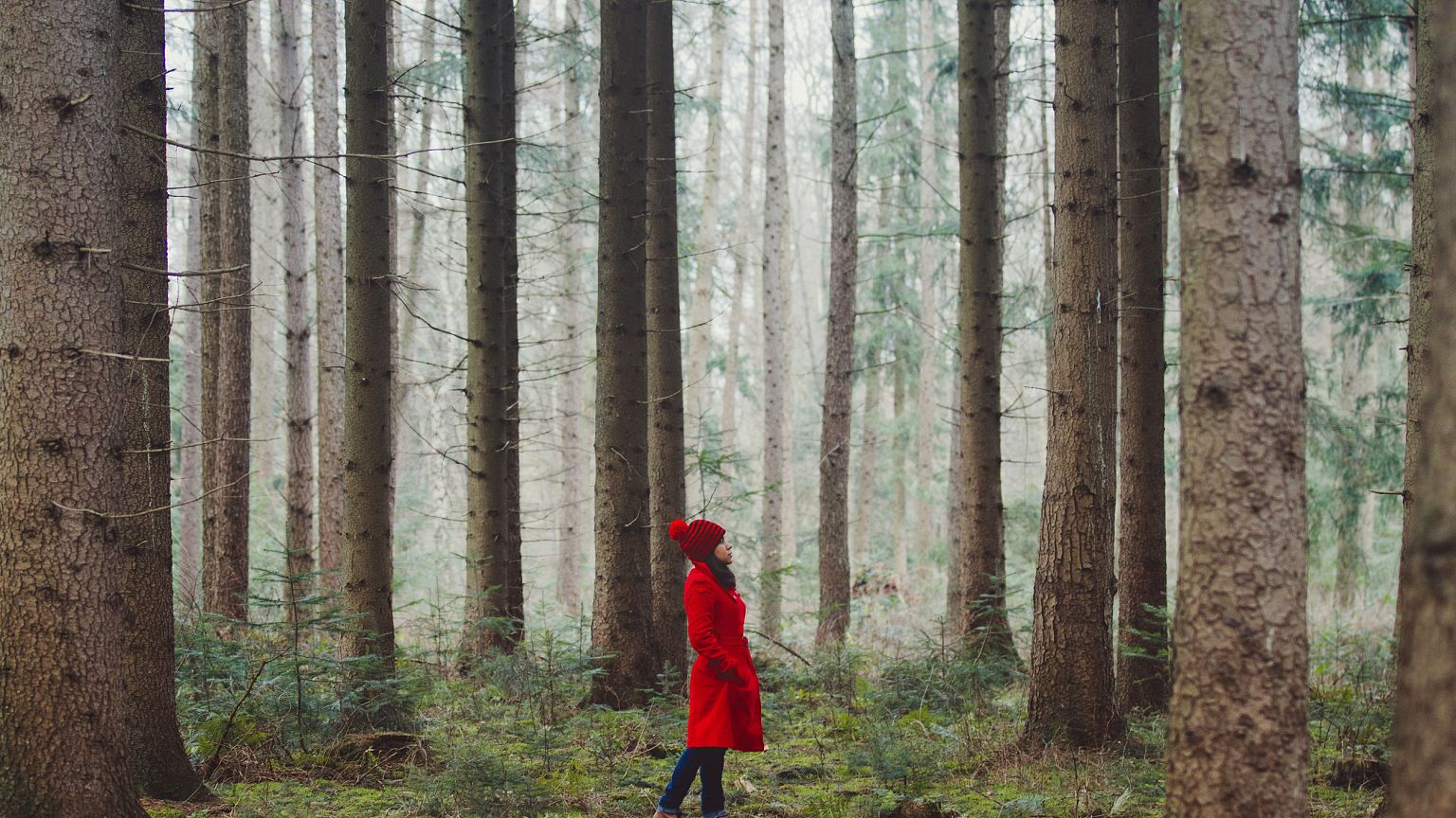 Image: Woman Walking Along Wooded Road