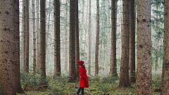 Image: Woman Walking Along Wooded Road
