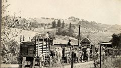 Workers at the historic Fountaingrove Winery owned by Kanaye Nagasawa, one 