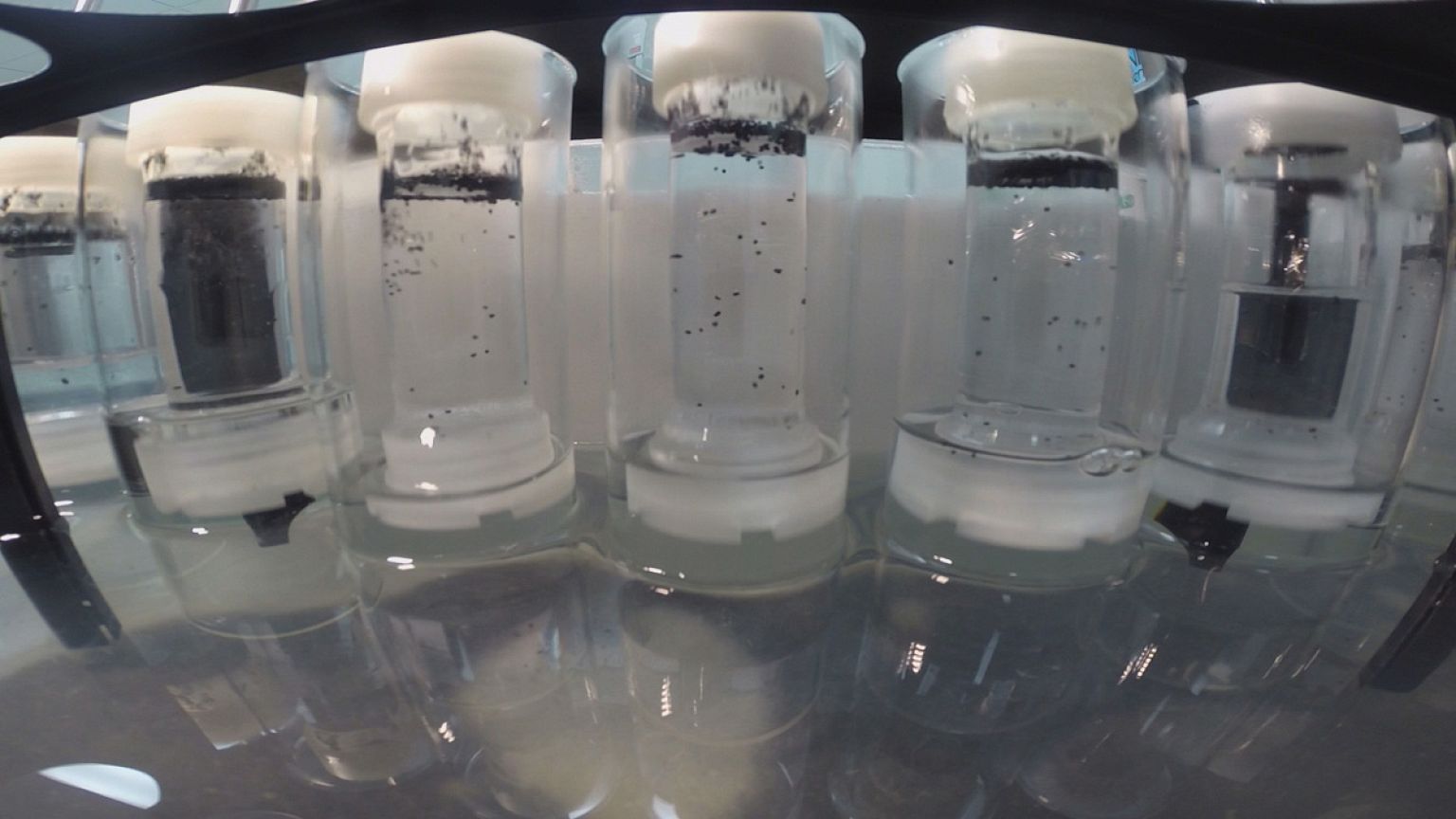 Do you know: what are "superbugs"?