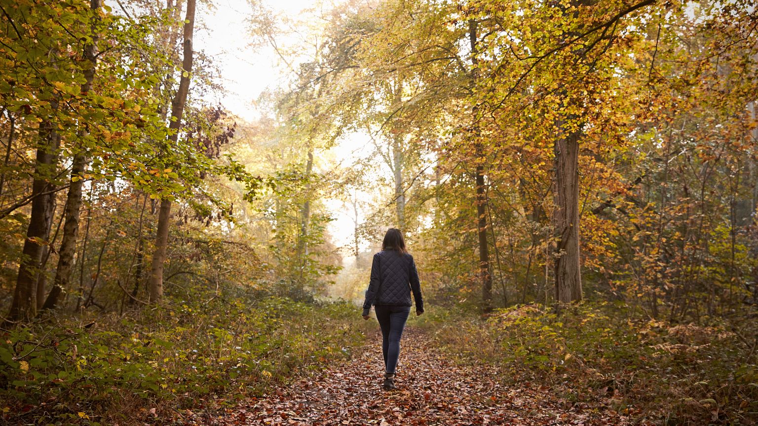 Woman Walking Along Path In Autumn Woodland