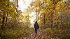 Woman Walking Along Path In Autumn Woodland