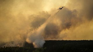 El incendio de un bosque amenaza la central nuclear de Chernóbil en Ucrania