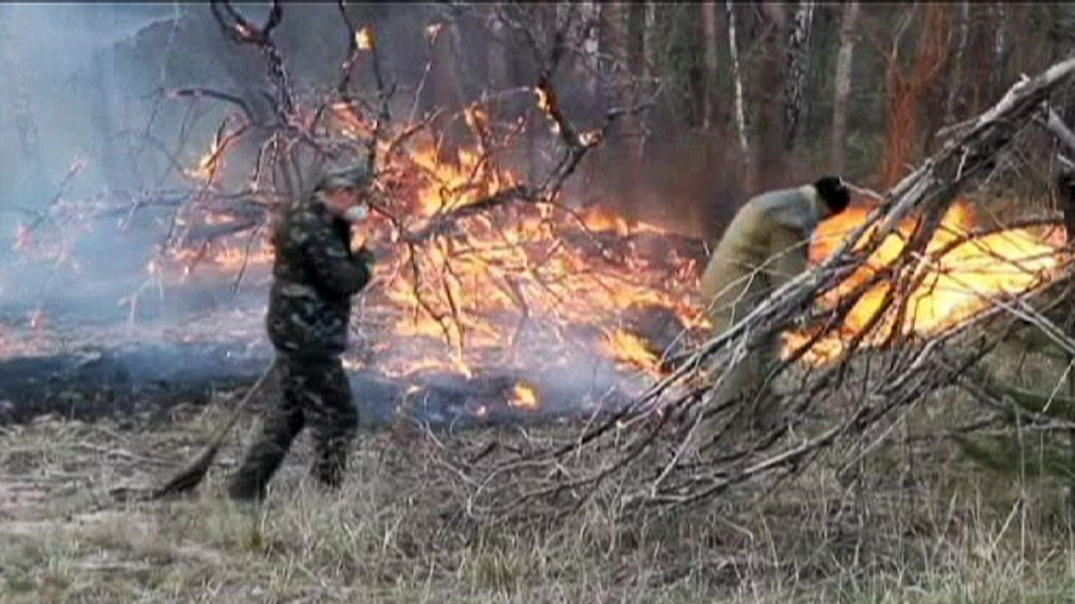 Controlado el incendio forestal declarado cerca de Chernóbil