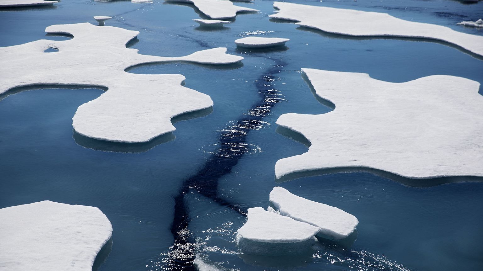 Image: Sea Ice