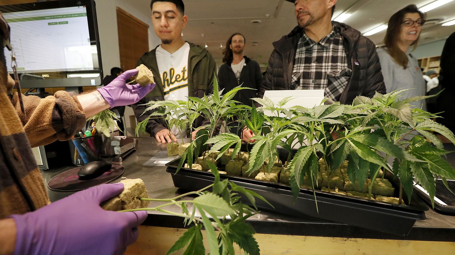 Image: California Legalized Recreational Marijuana Use