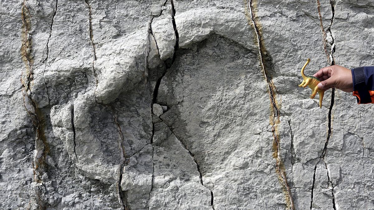 Bolívia: Descobertas mais 5000 pegadas de dinossauro