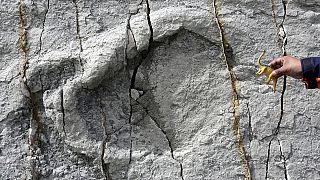 Bolívia: Descobertas mais 5000 pegadas de dinossauro