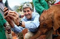 Un bébé éléphant fait un selfie avec John Kerry