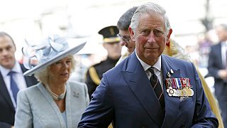 UK: Prince Charles' 'spider memos' to ministers made public