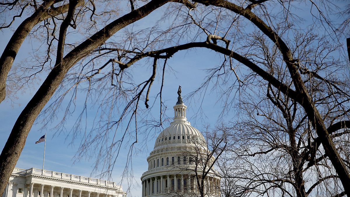 Image: The U.S. Capitol is seen from behind trees after President Donald Tr