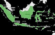 Endonezya'ya bekaret testine son verin çağrısı