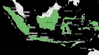 Endonezya'ya bekaret testine son verin çağrısı