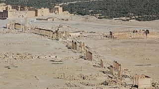 La cité antique de Palmyre menacée par les barbares d'Etat islamique