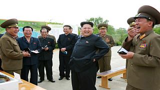 Kuzey Kore savunma bakanı idam edilmemiş olabilir