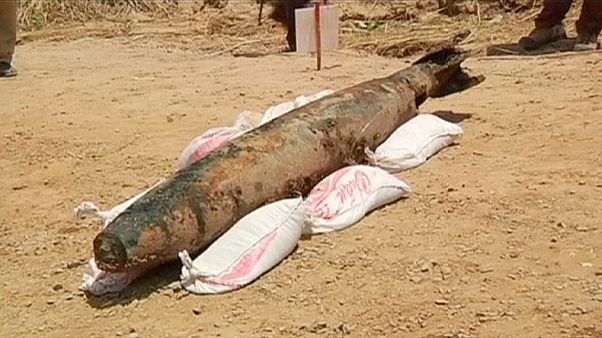 Cambogia: disinnescata bomba nel fiume Mekong Cambogia: disinnescata bomba nel fiume Mekong