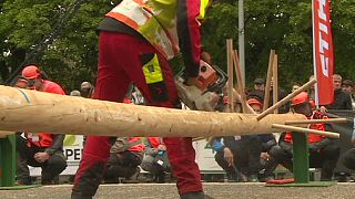 Germany wins the 14th European Championship of Forestry Skills