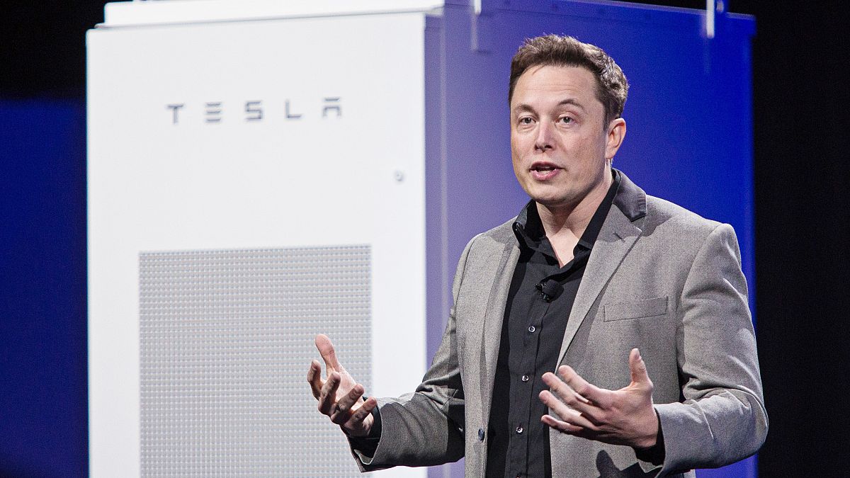 Image: Tesla Motors Inc. Chief Executive Officer Elon Musk Unveils New Gene