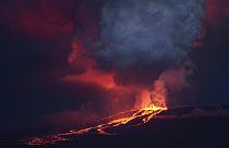 Извержение вулкана на Галапагосских островах угрожает розовым игуанам