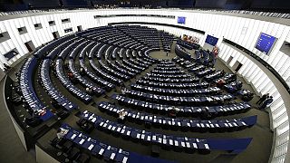 پارلمان راه را برای ادامه مذاکرات بازرگانی میان اروپا و آمریکا باز کرده است