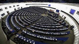 TTIP, luce verde dell'Europarlamento ai negoziati. Protestano i verdi