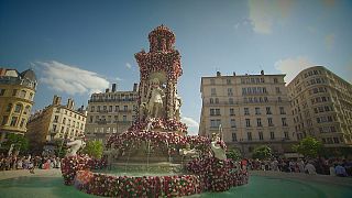 Lyon, capital de la rosa por unos días