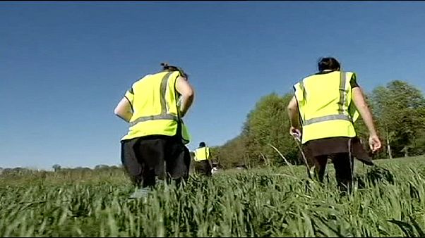 Battue historique en Suède pour retrouver une jeune fille disparue Battue historique en Suède pour retrouver une jeune fille disparue