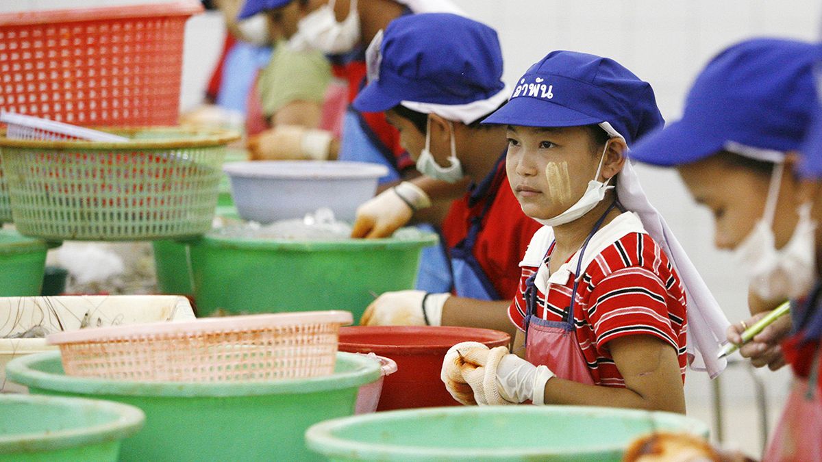 Thailandia, 8.000 migranti bambini sfruttati nella filiera del gamberetto