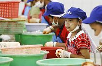 Thailandia, 8.000 migranti bambini sfruttati nella filiera del gamberetto