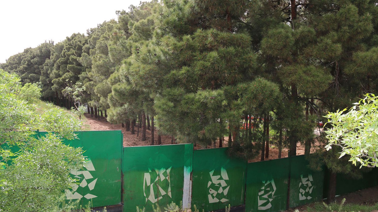 درختان پارک ملی سُرخه حصار در خطر نابودی