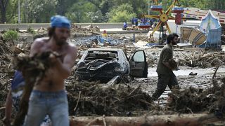 Tiger kills man after escaping Tbilisi Zoo during floods