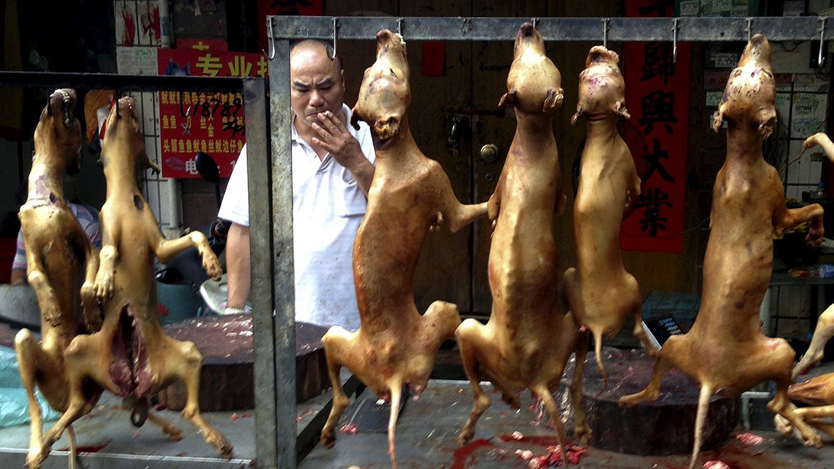 اعتراض مدافعان حقوق حیوانات به جشنواره گوشت سگ در چین