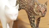 Döbbenetes új technikával festik szépre a 3D nyomtatóval készült tárgyakat