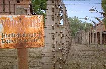 Gombokat csórtak Auschwitzból