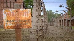 Teenager graben in Auschwitz nach Souvenirs