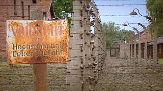 Teenager graben in Auschwitz nach Souvenirs