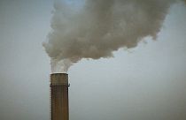 Tribunale olandese ordina allo Stato di ridurre le emissioni di gas a effetto serra