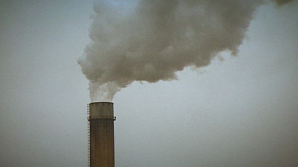 Un tribunal local 'condena' a Holanda a reducir la contaminación más rápido Un tribunal local 'condena' a Holanda a reducir la contaminación más rápido