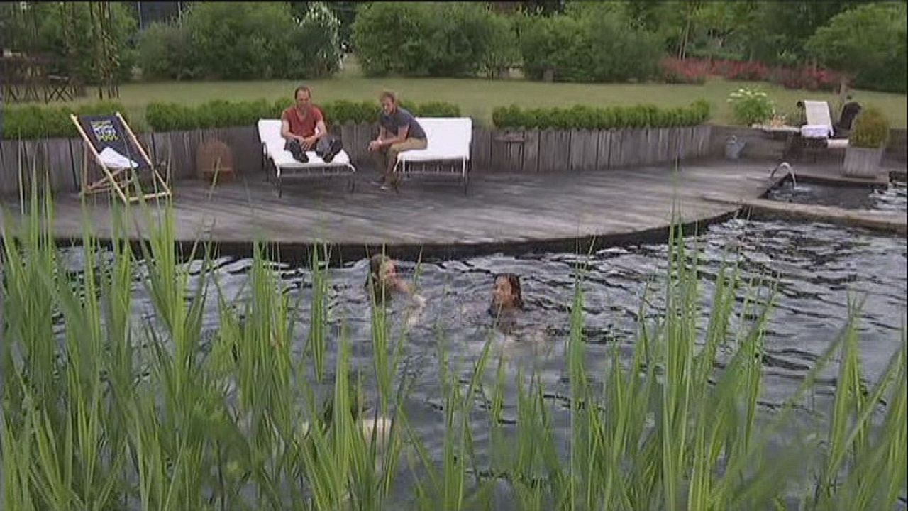 Les Piscines Naturelles De Plus En Plus Prisées Euronews