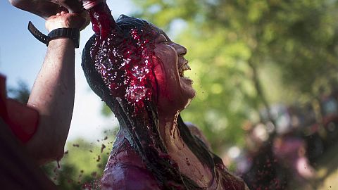 Batalla de vino de La Rioja en Haro