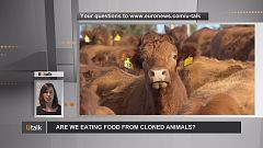 Food from animal clones: what European citizens need to know
