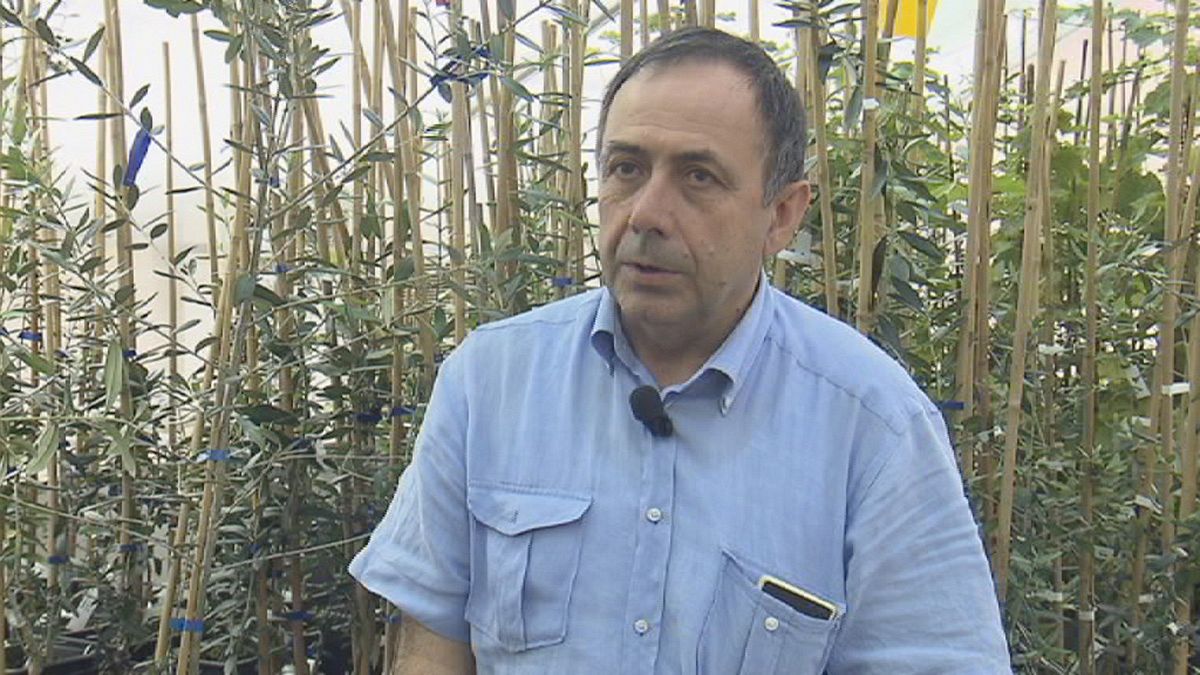 Donato Boscia: gli ulivi nel mirino della Xylella