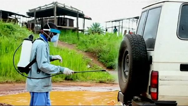 Weiterer Ebola-Fall in Liberia entdeckt Weiterer Ebola-Fall in Liberia entdeckt