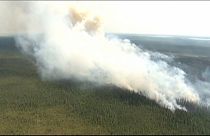 حرائق الغابات تجبر اكثر من خمسة آلاف كندي على إخلاء منازلهم