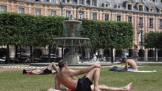 La canicule déforme l'asphalte à Heidelberg